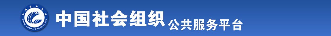 逼爱插网站全国社会组织信息查询